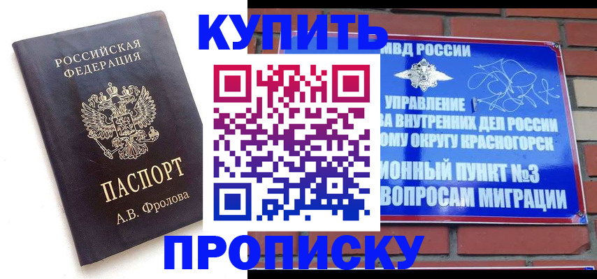 прописка поиск в Моршанске